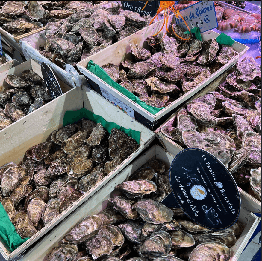 photo d'un étalage d'huître