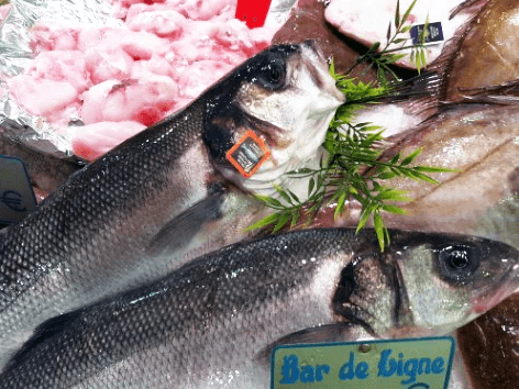 photo d'un étalage de poisson, bar au premier plan